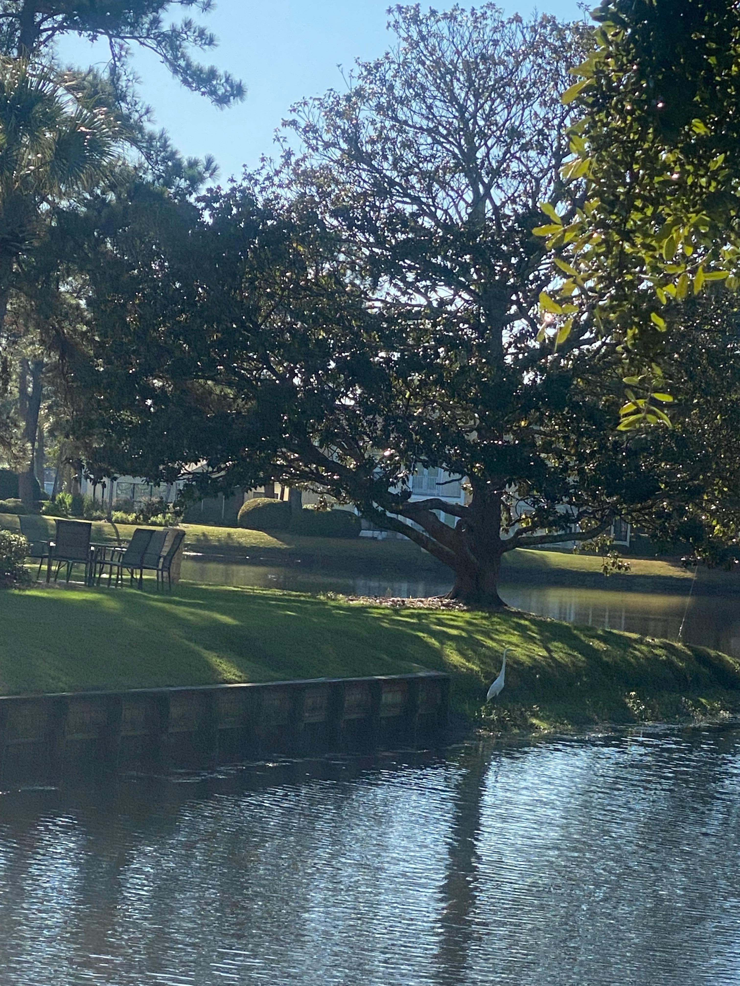 Our view from our balcony & patio. 