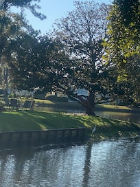 Our view from our balcony & patio.