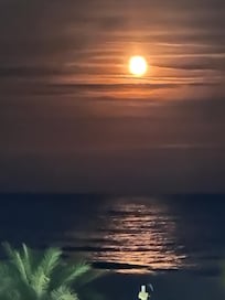 We got to be here for the blood moon which was absolutely stunning!