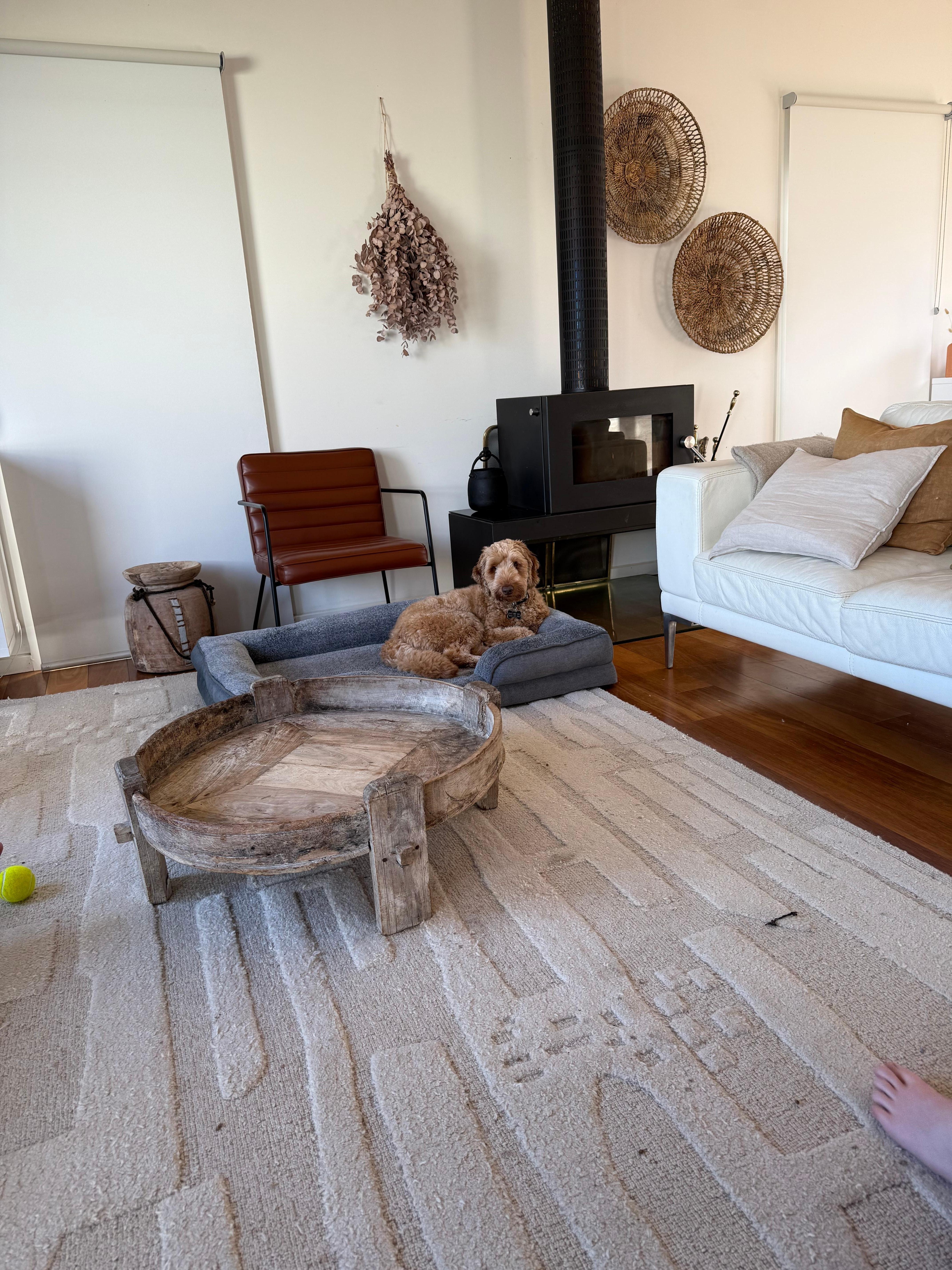 Remy loving his first beach holiday! 