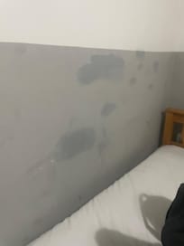 Damp and smell coming from walls , rotten