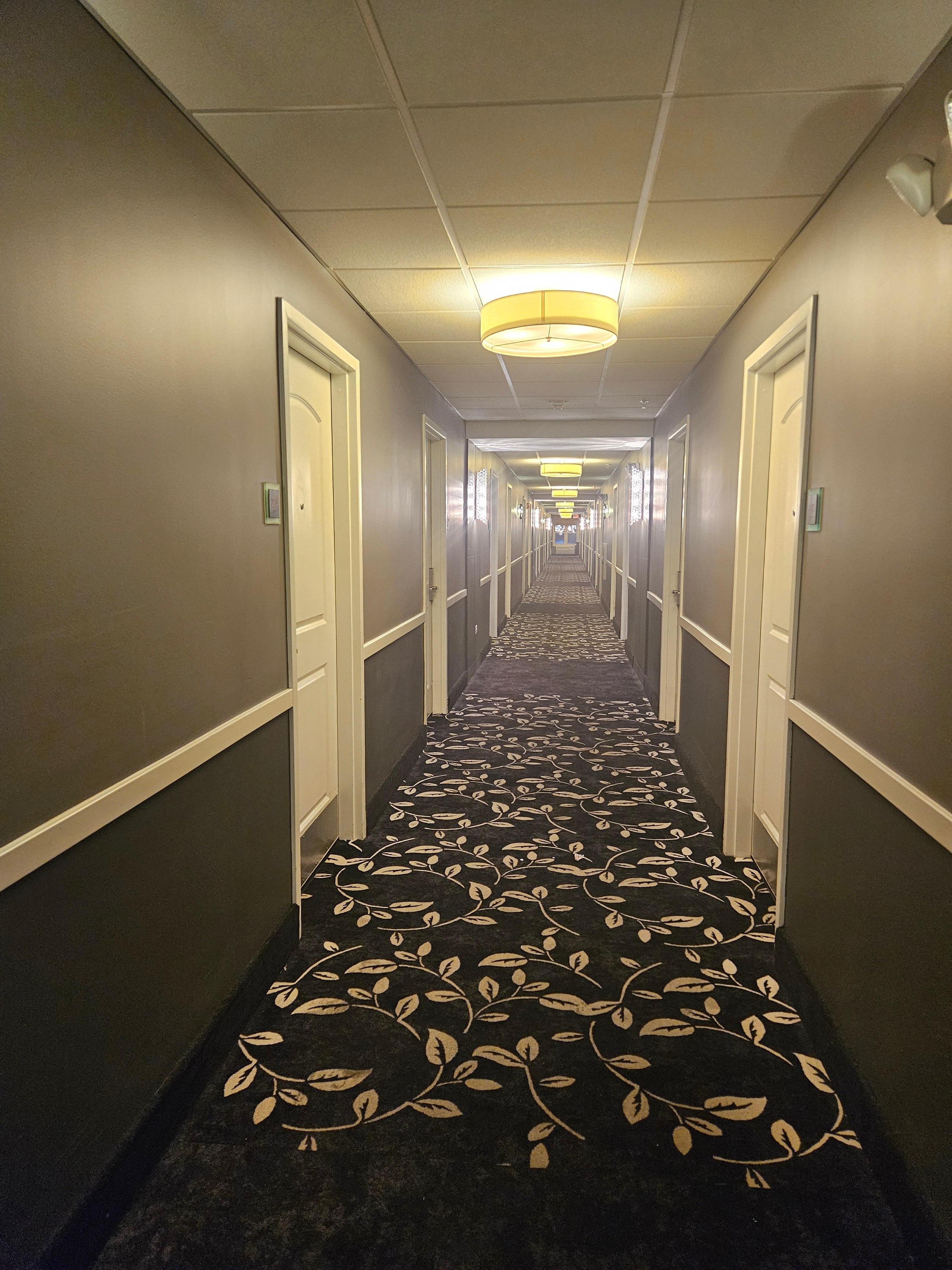 Hallway to second floor. The pic doesn't do justice to the gorgeous light fixtures! Crystal and sooooo pretty!