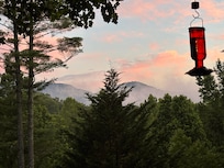 View from the front porch
