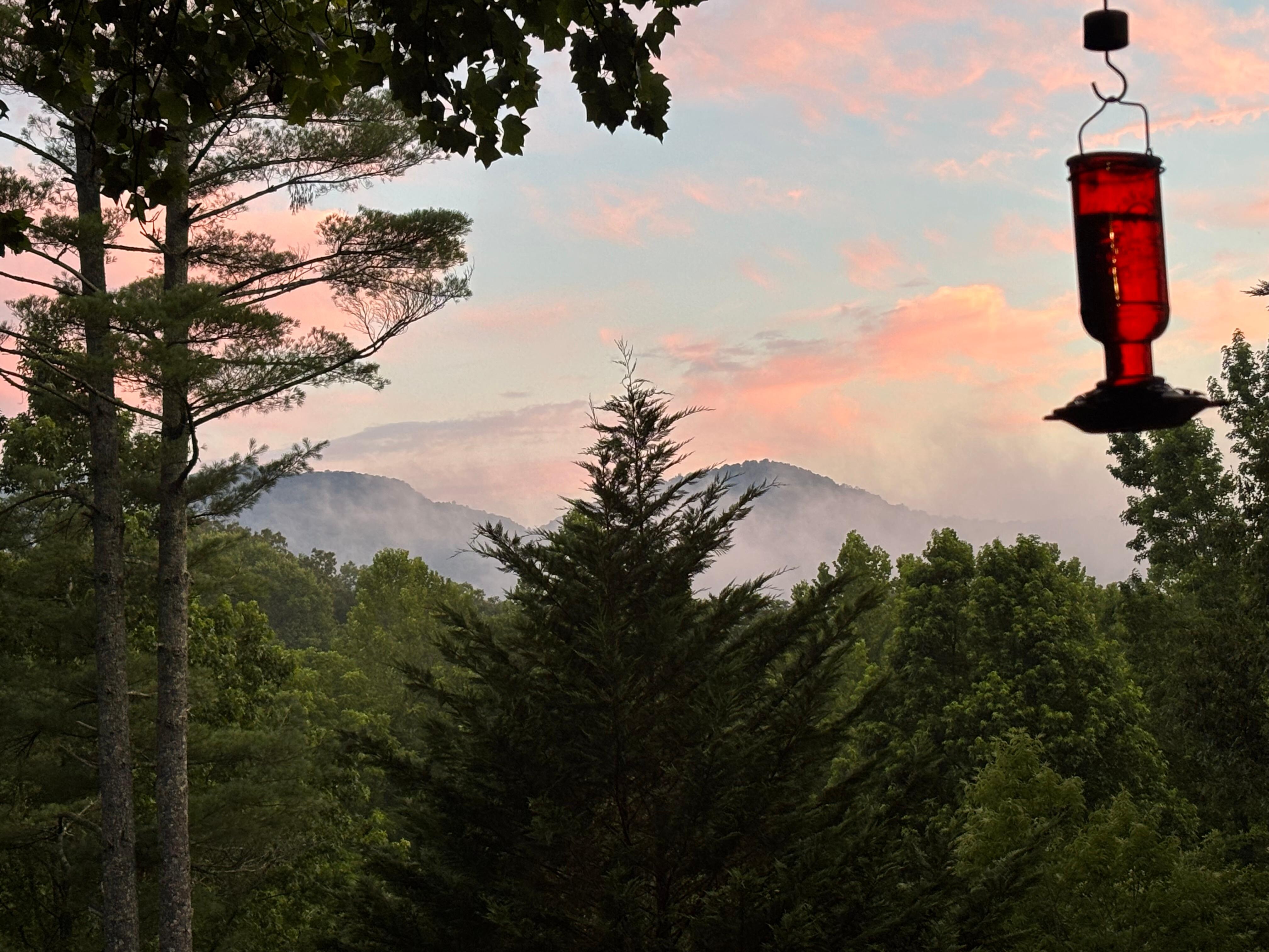 View from the front porch 