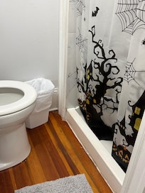 I love this shower curtain