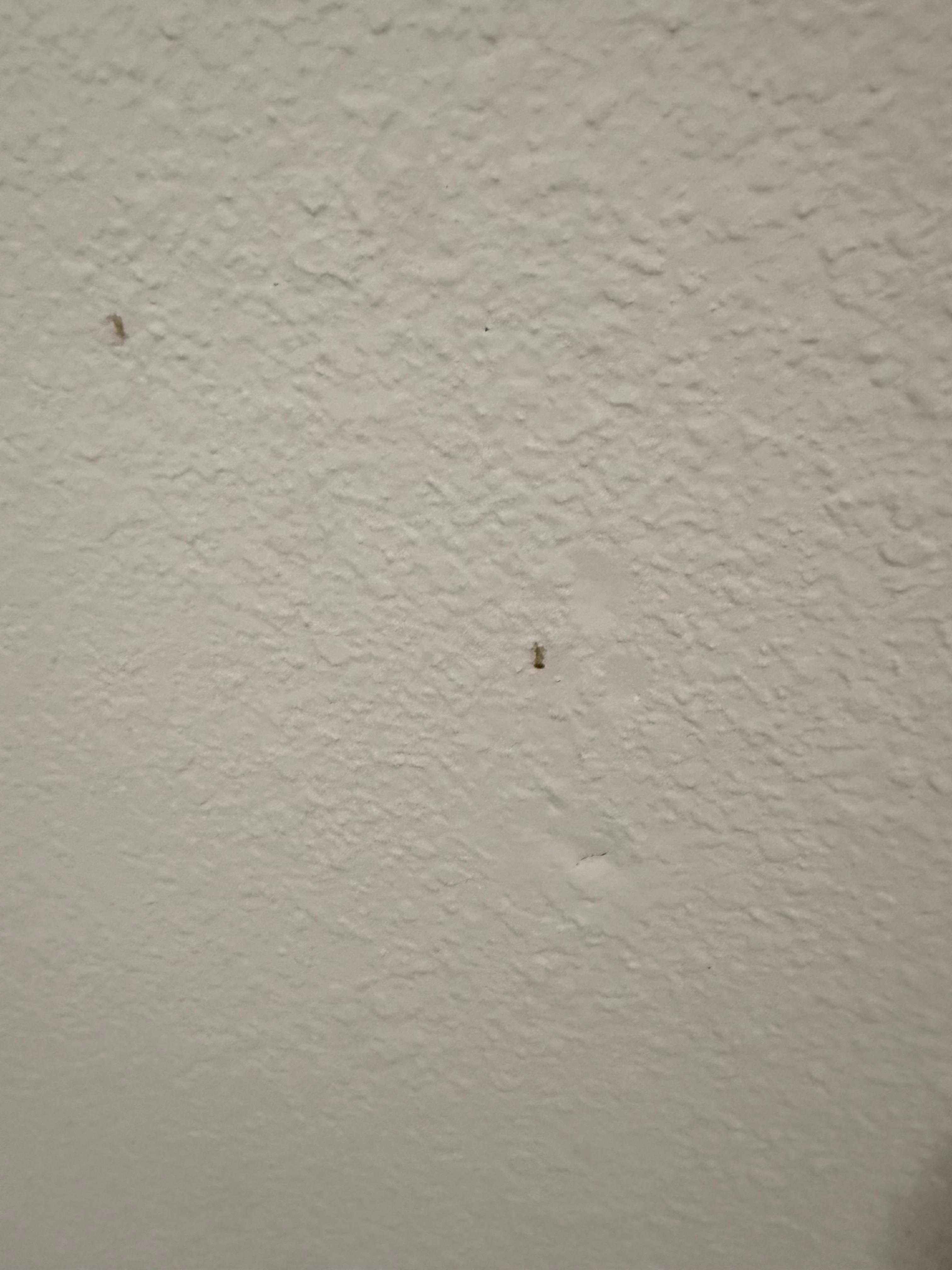 Boogers stuck on wall from who knows when, followed with hair and dirty footprints in the shower wish I took photo but immediately ran shower