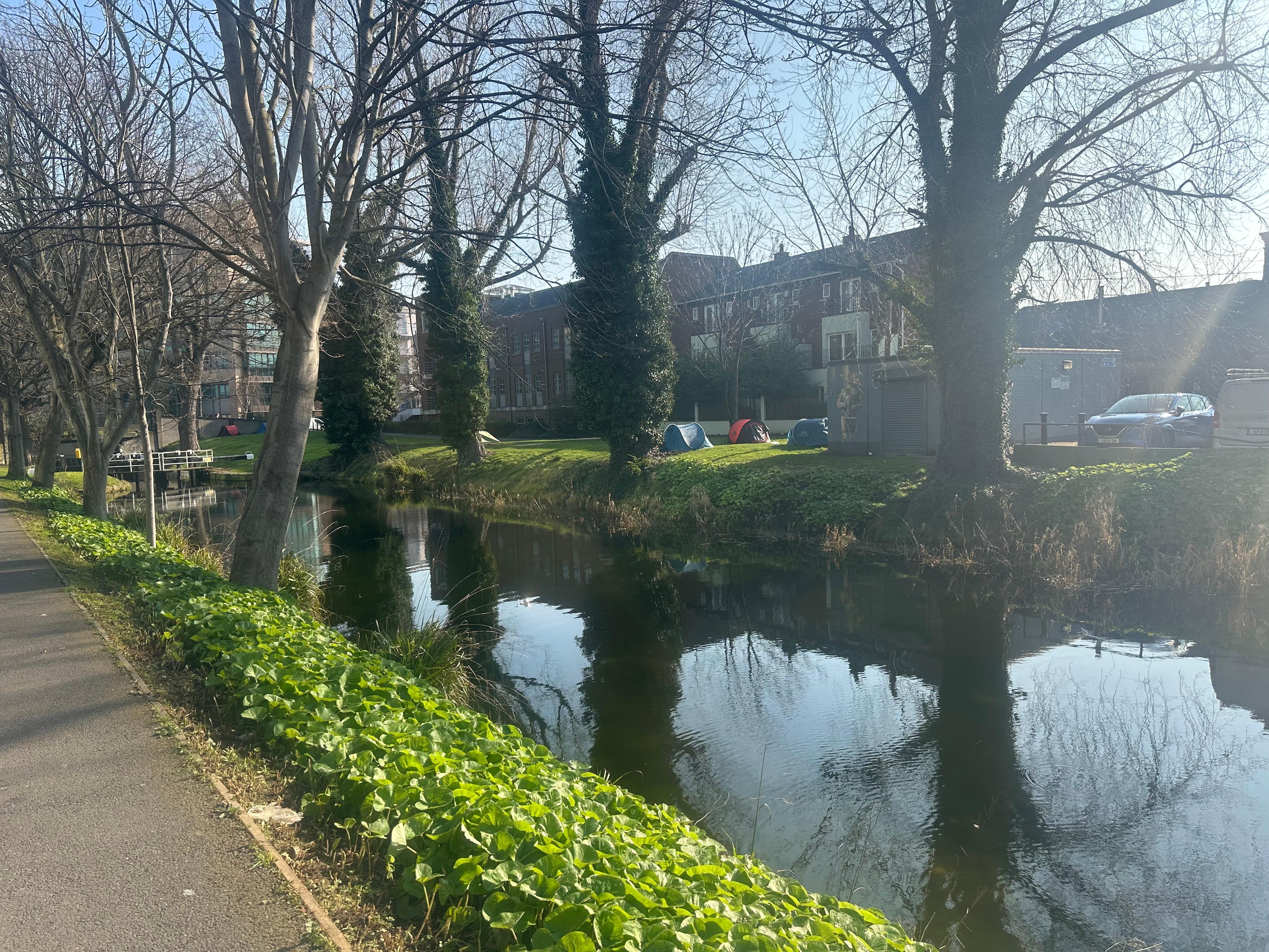 A perfect watercolor subject!! 