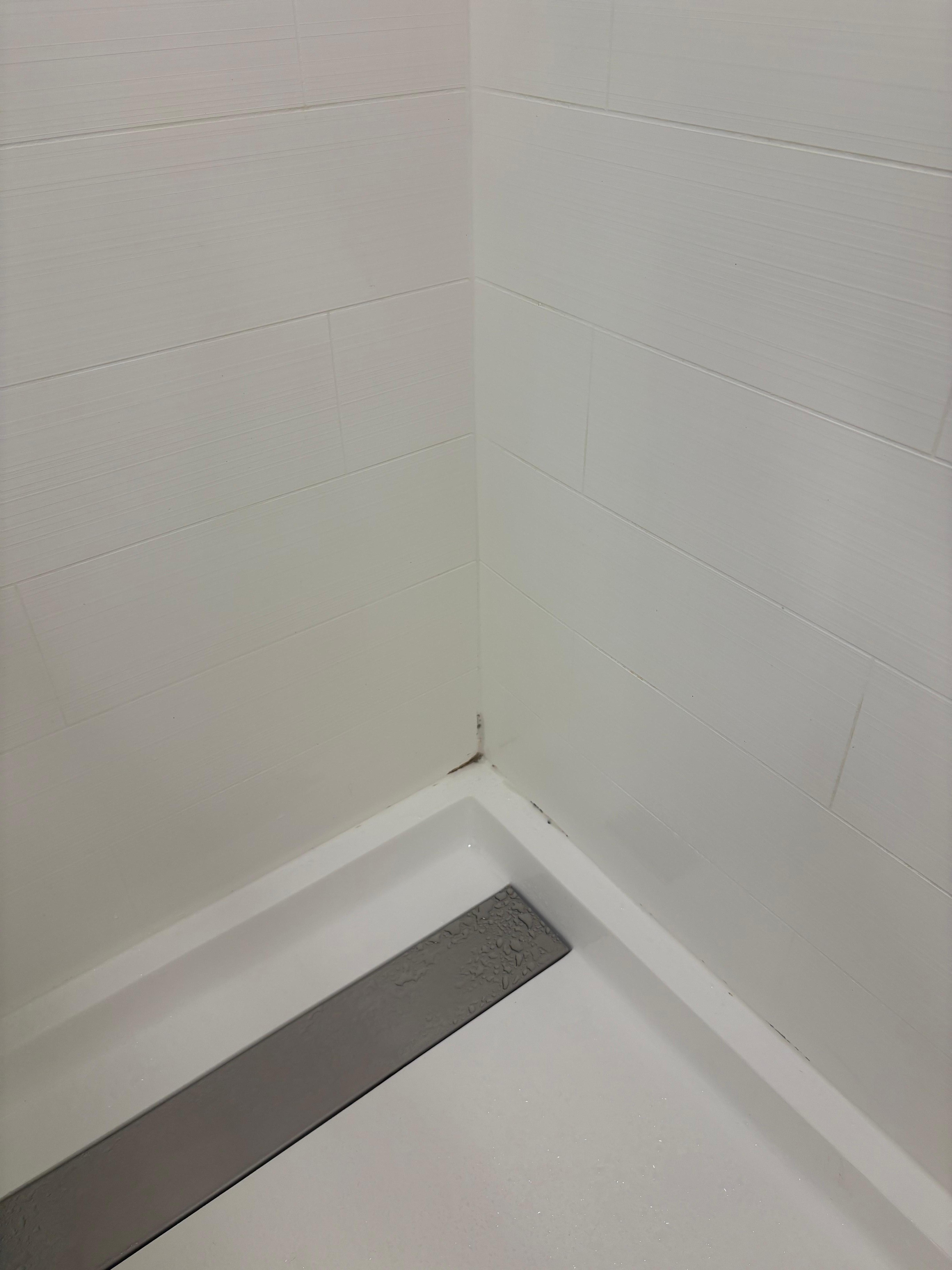 Shower floor