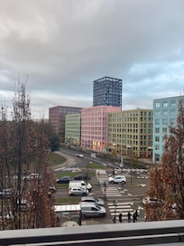 View out the window.