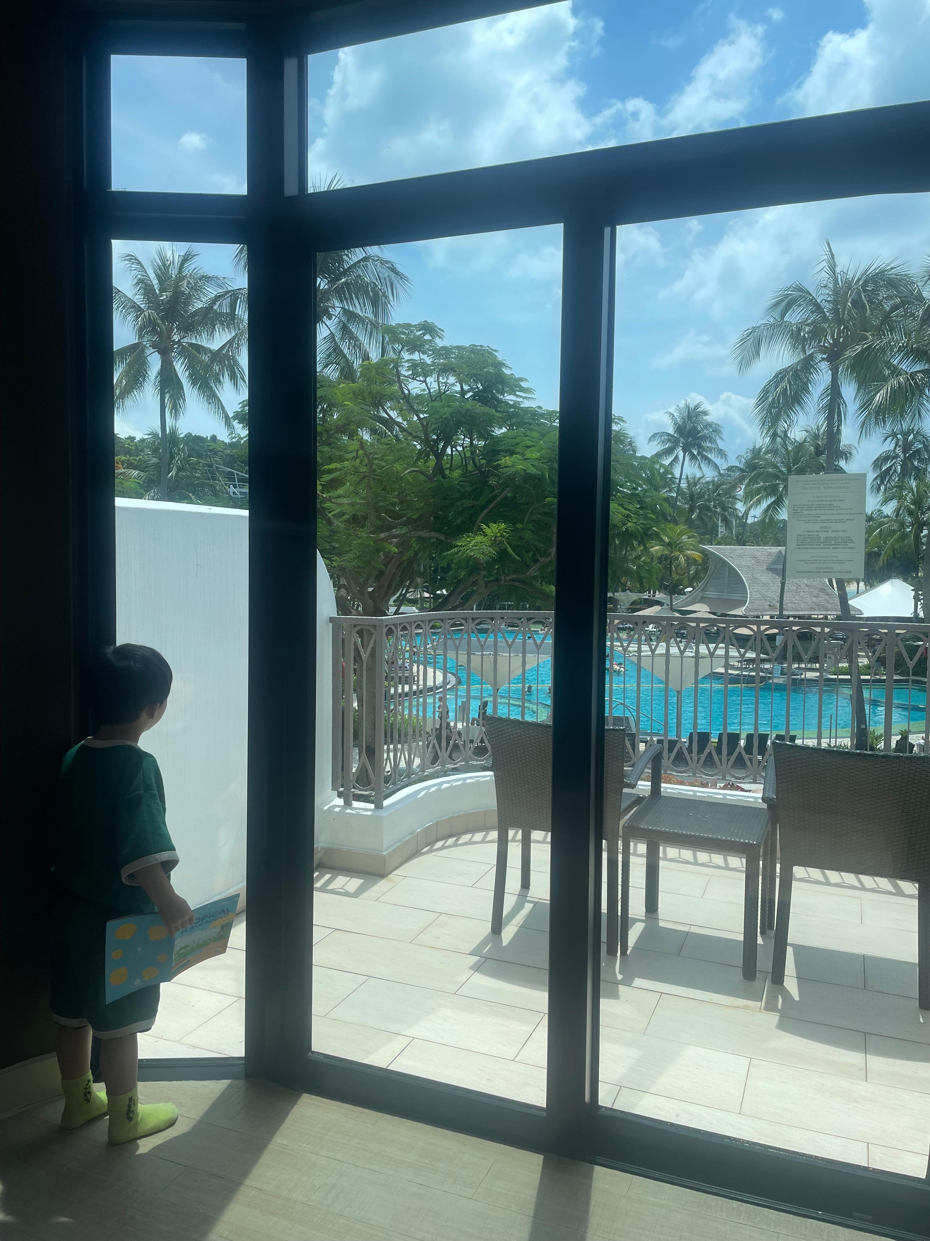 客室からの眺め