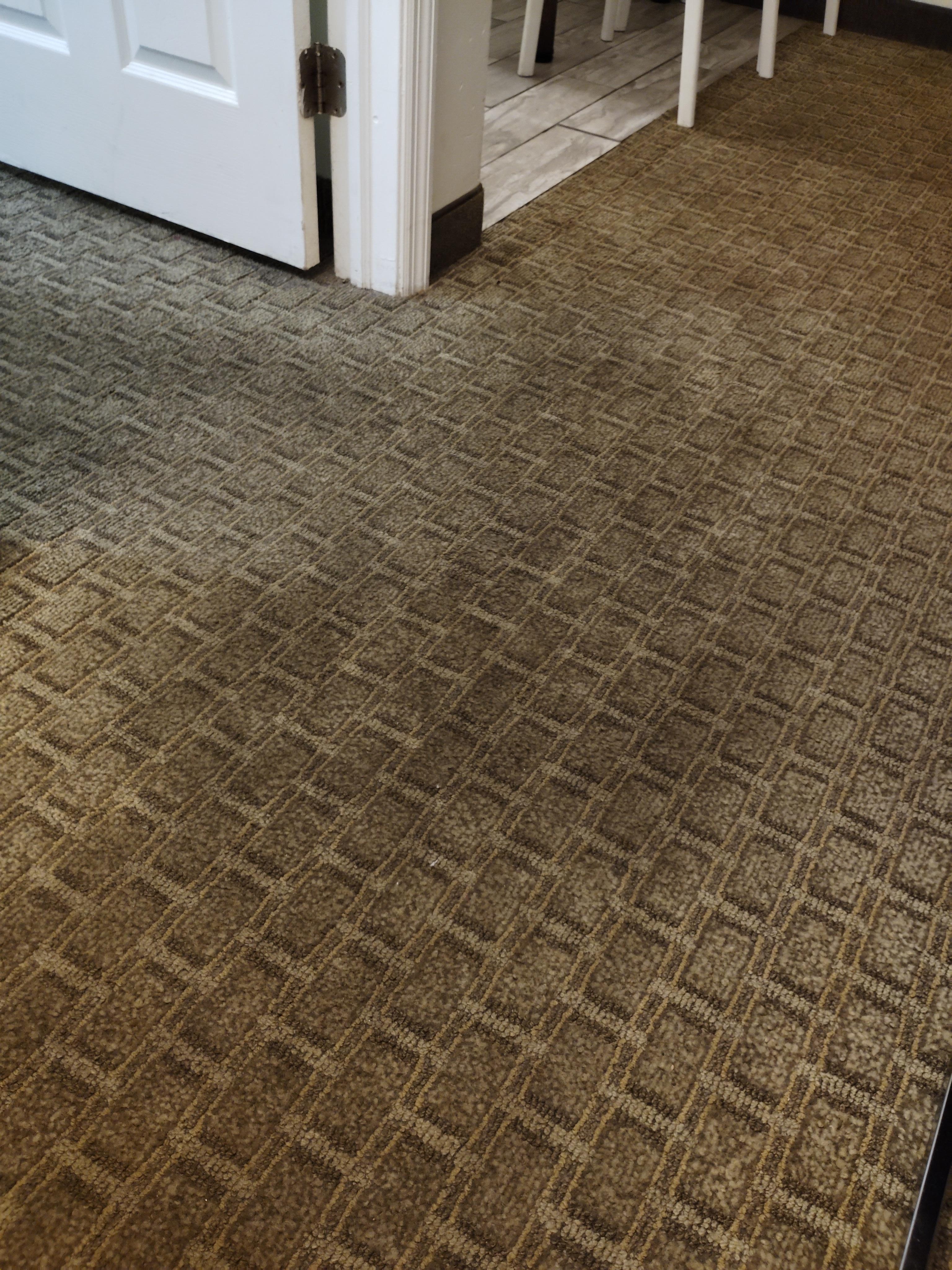 Entire carpets stained and stink