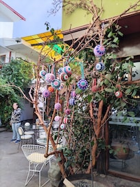Garden.