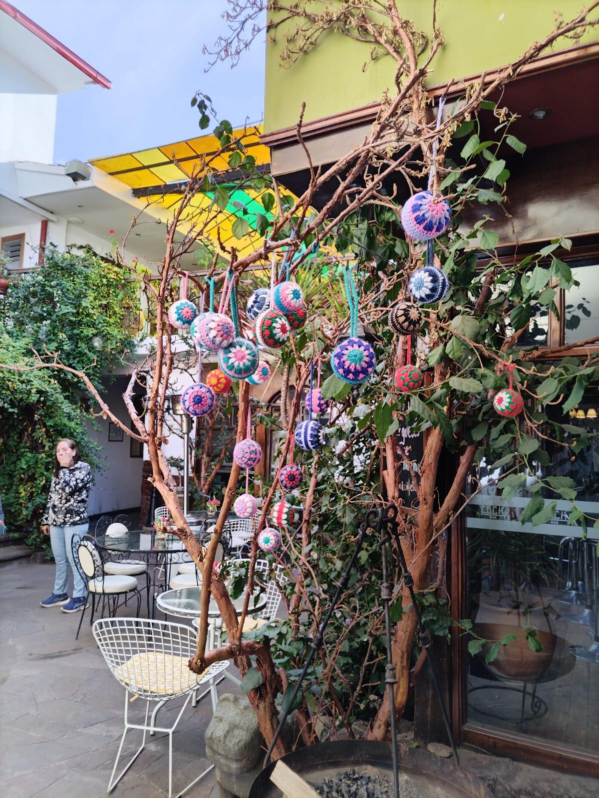 Garden.