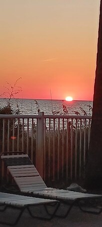 Beach View