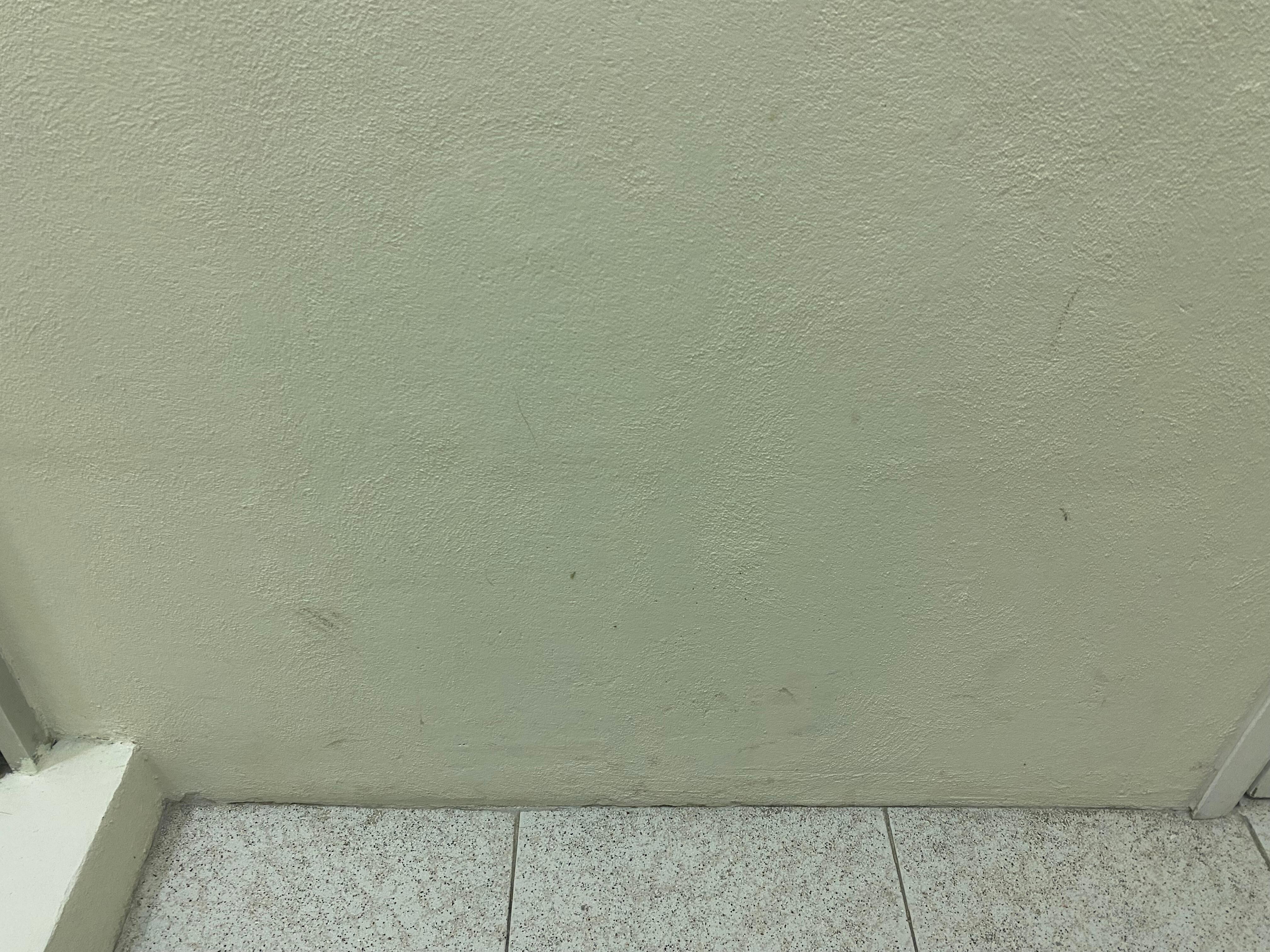 Pared sucia del baño