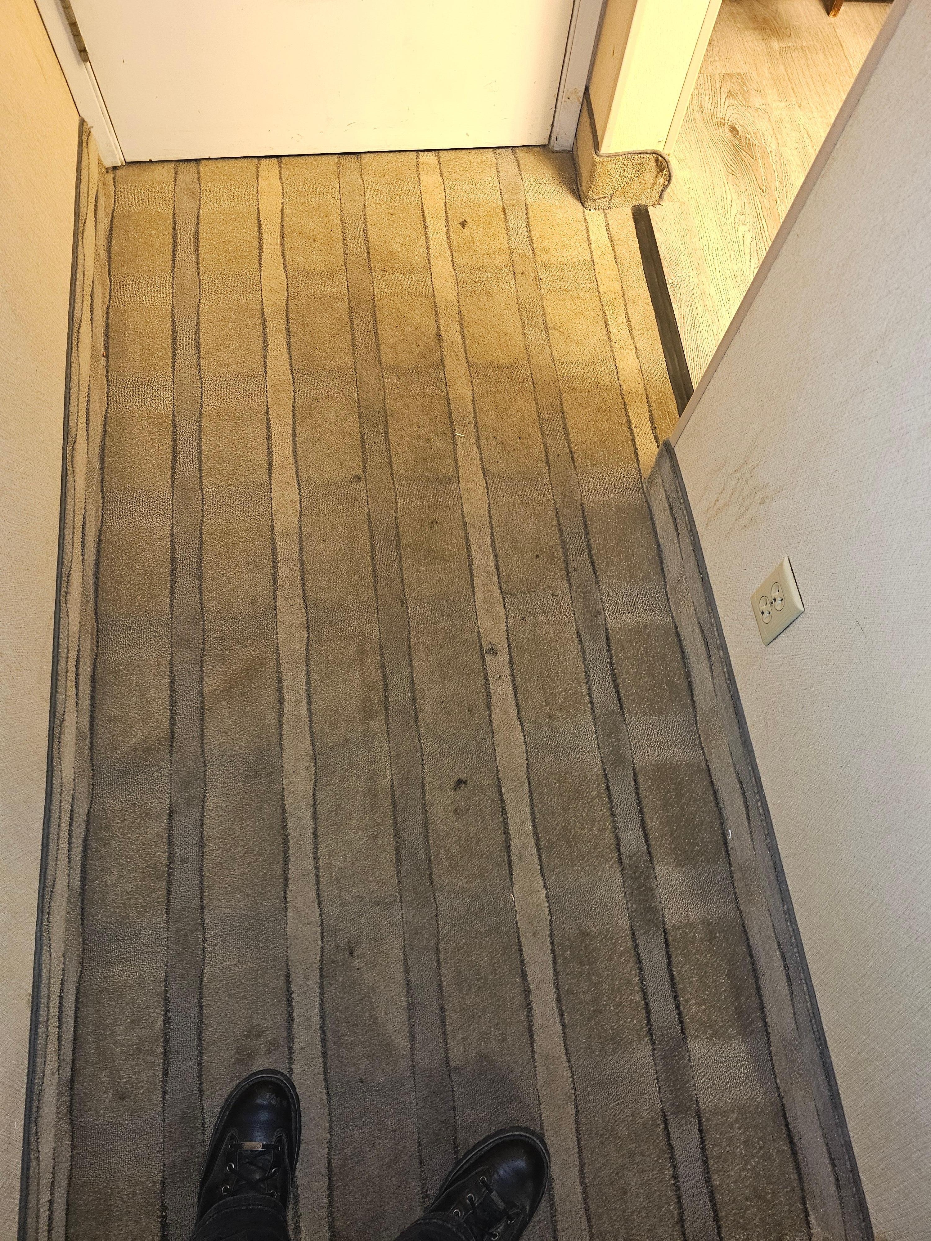 Entry way stains and torn carpet