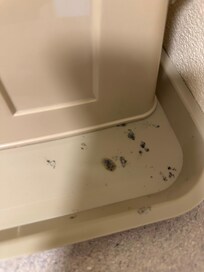 Cigarette burn marks on coffee tray