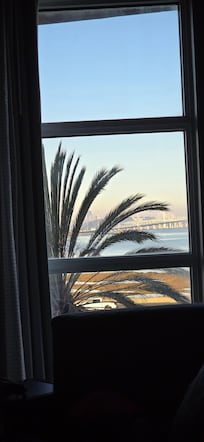 The view from my hotel room