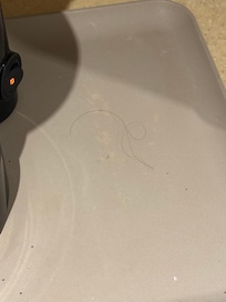 Hair in the coffe area / kitchen