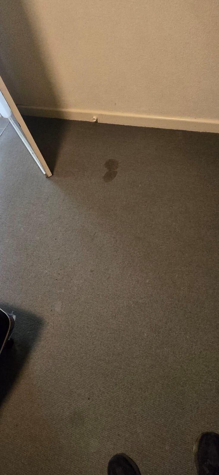 Stains on carpet