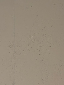 Mold? Water stains?
