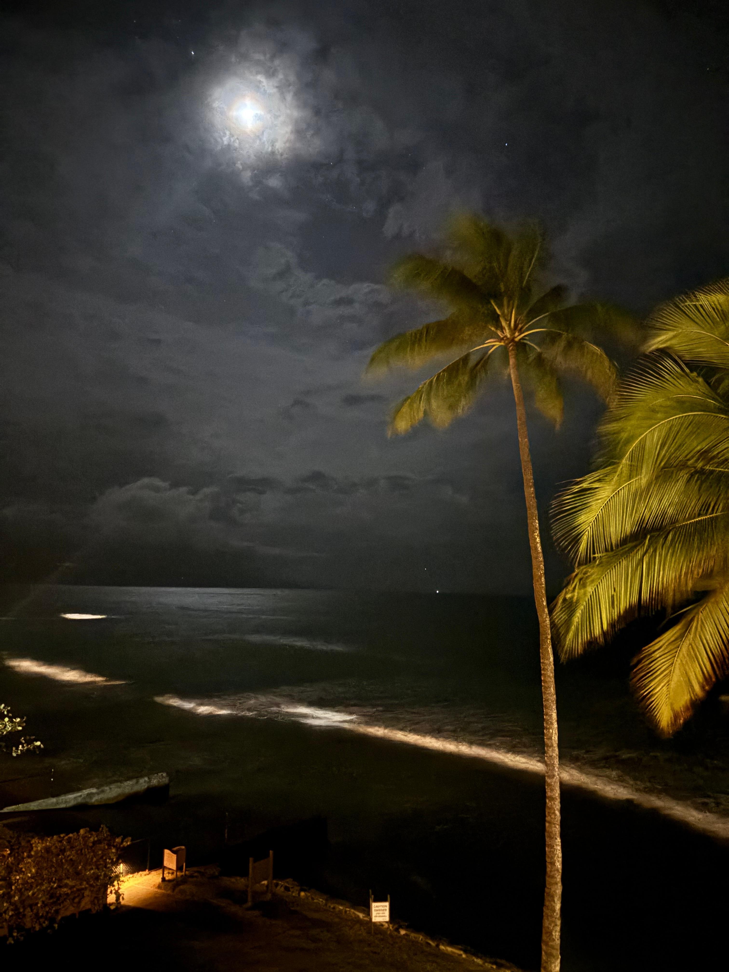 Moonlight view 
