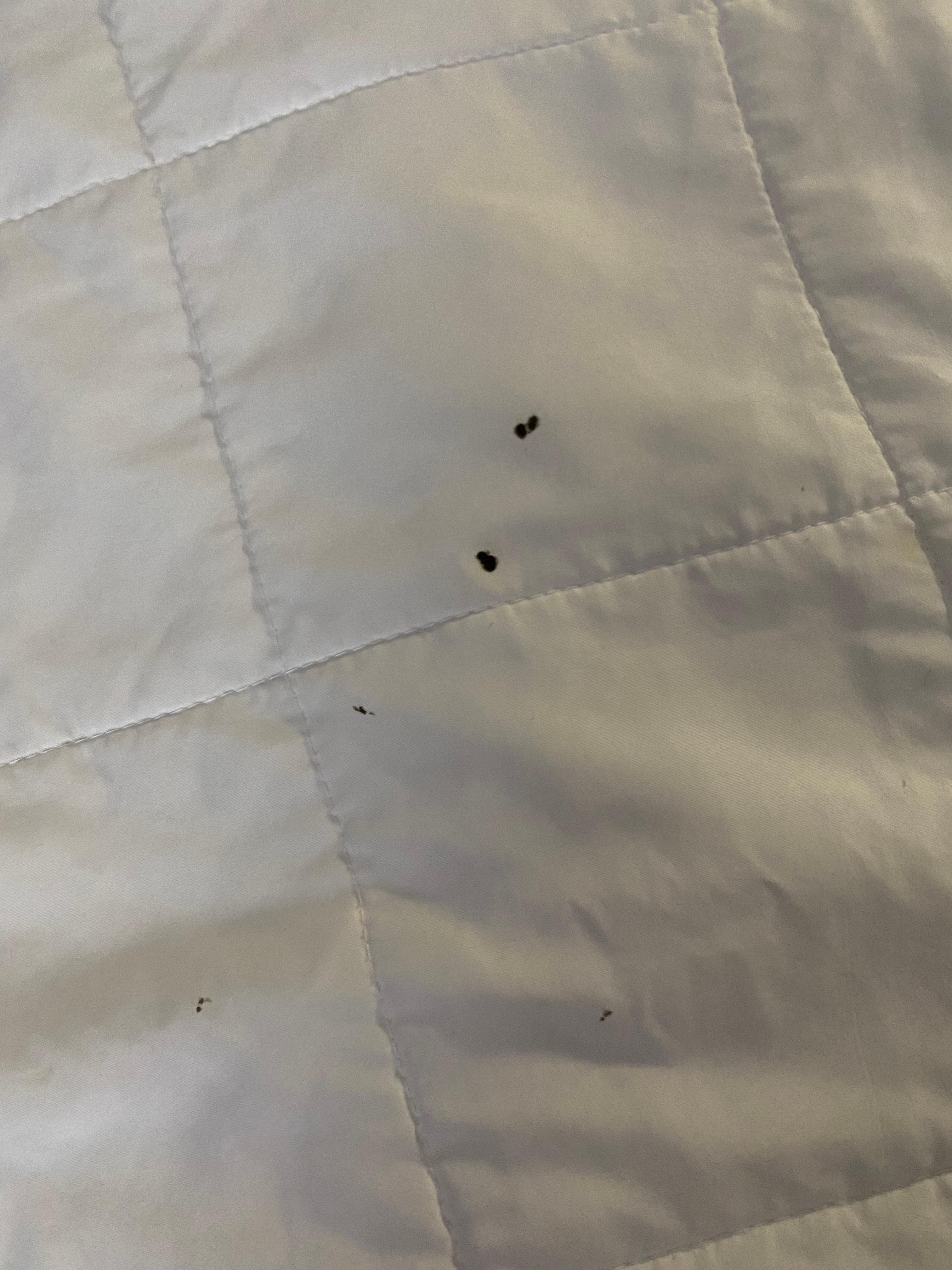 “New, clean sheets.”