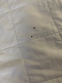 “New, clean sheets.”