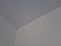 Spinnweben an der Decke