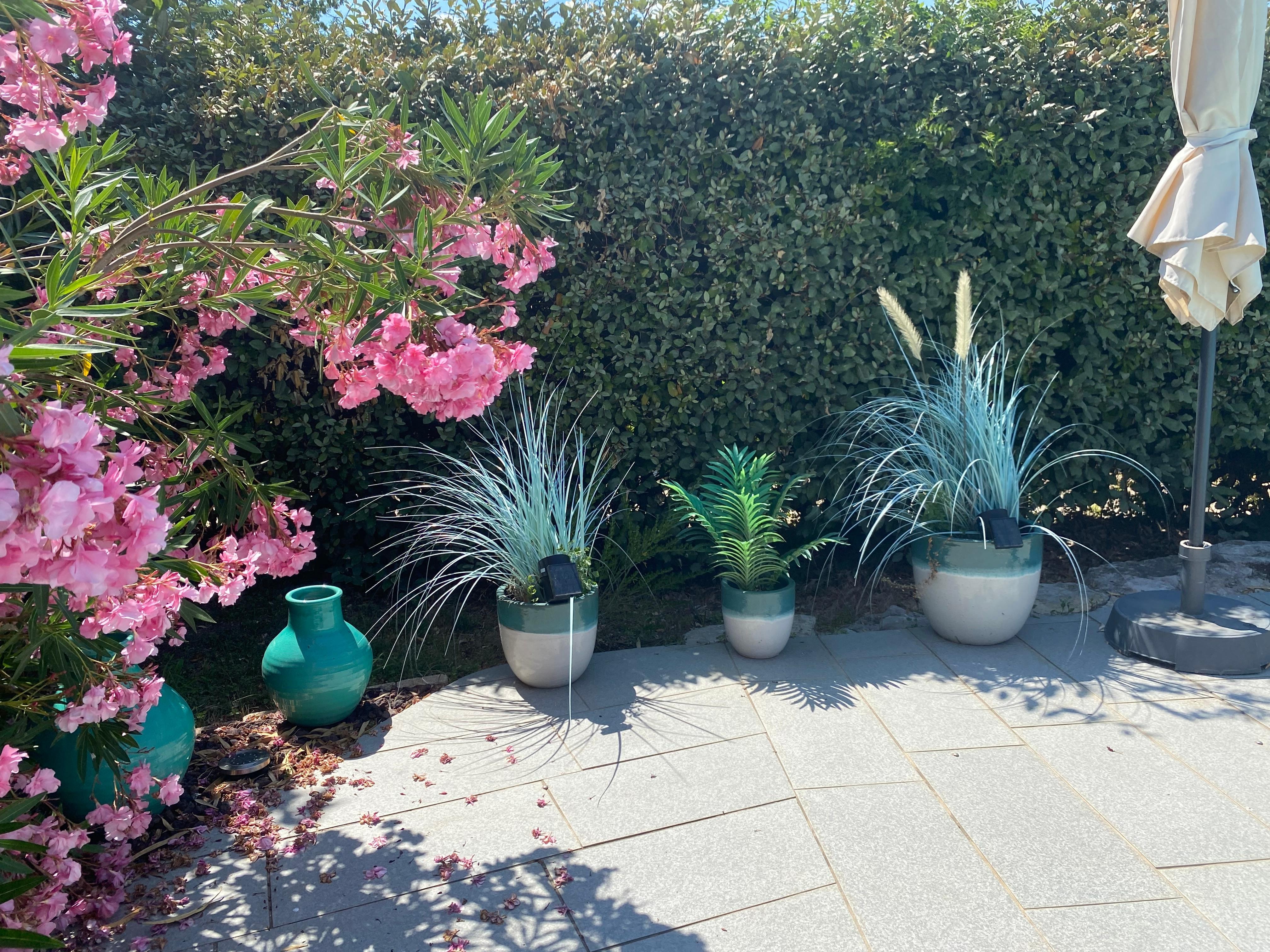Locally made pots in the garden 