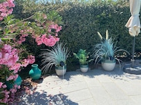 Locally made pots in the garden