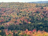 View from Mt Brockway