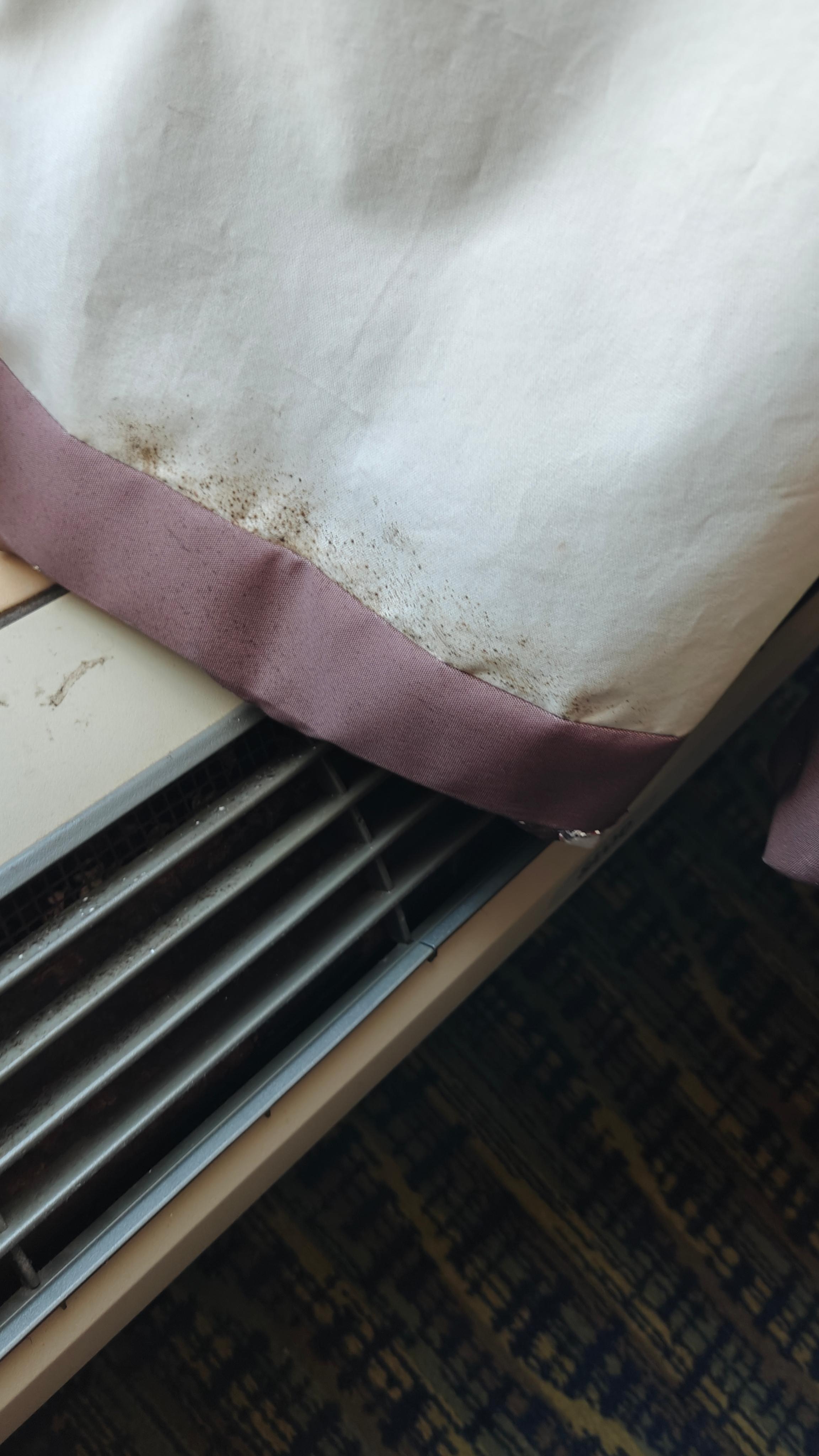 The window curtain had pushpins in it to keep closed. I'm guessing hoping that someone didn't open the curtain and find the mold 