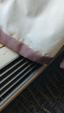 The window curtain had pushpins in it to keep closed. I'm guessing hoping that someone didn't open the curtain and find the mold