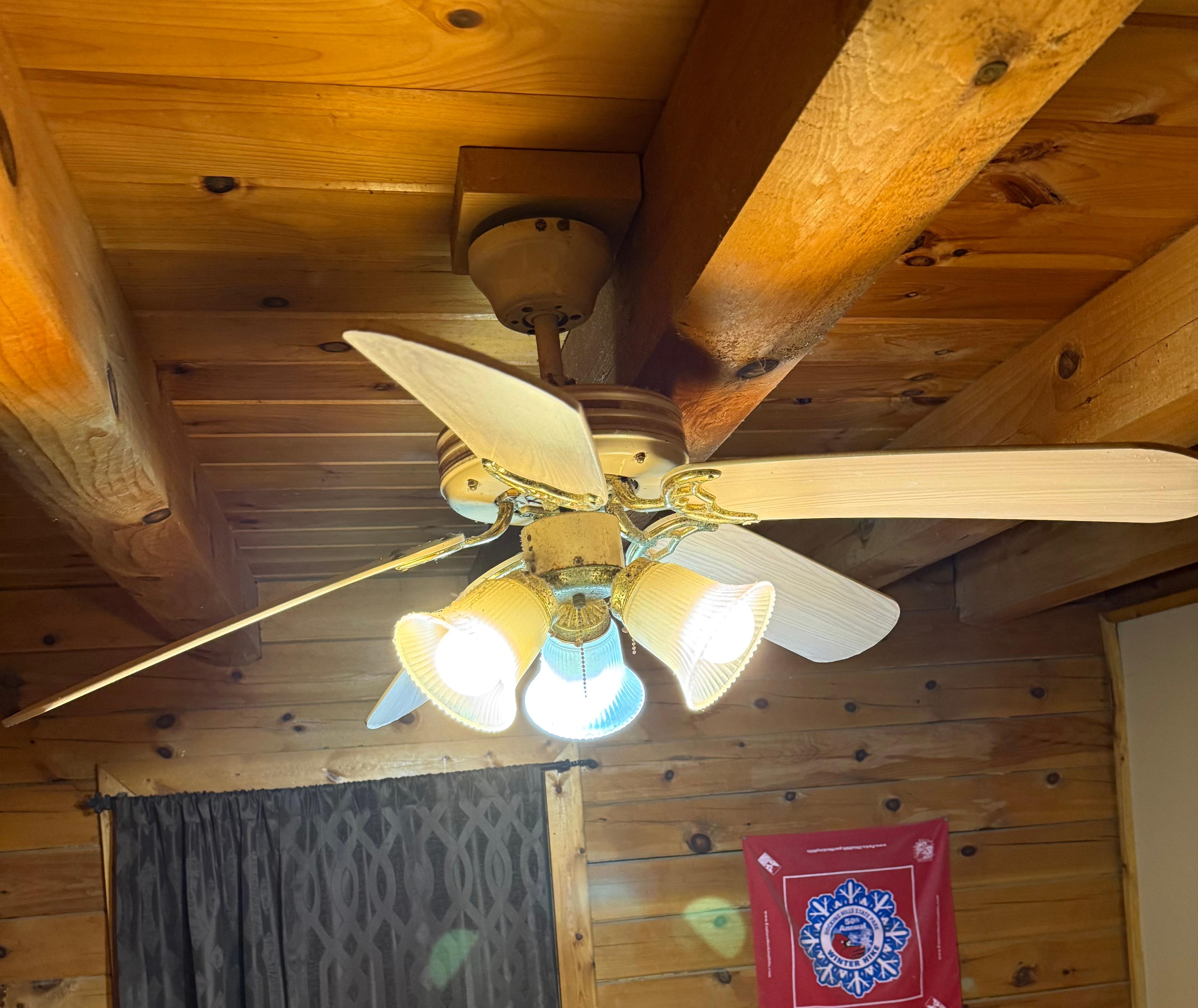 Ceiling fans with the blades falling off. The other one had a bulb and shade missing