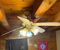 Ceiling fans with the blades falling off. The other one had a bulb and shade missing