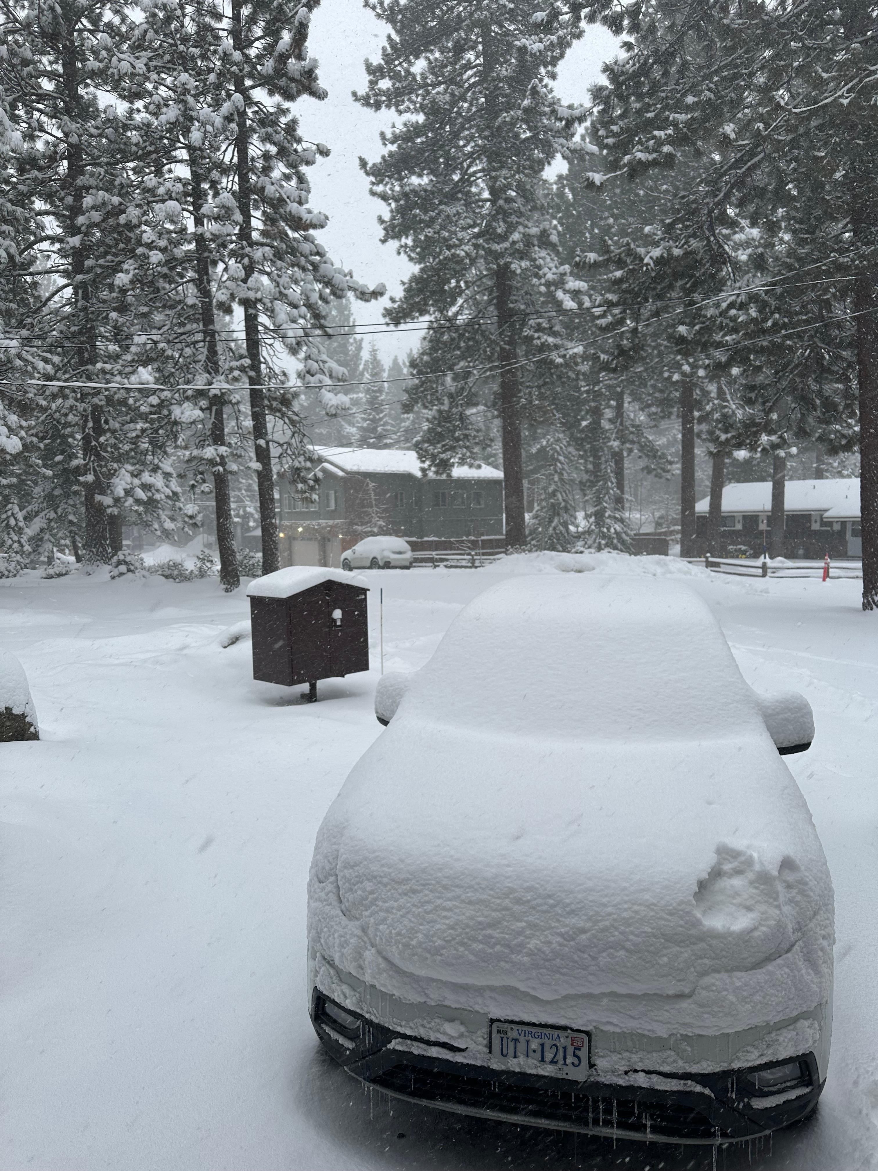 View from the front porch after the snow. 