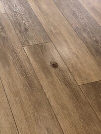 Another spider that we killed