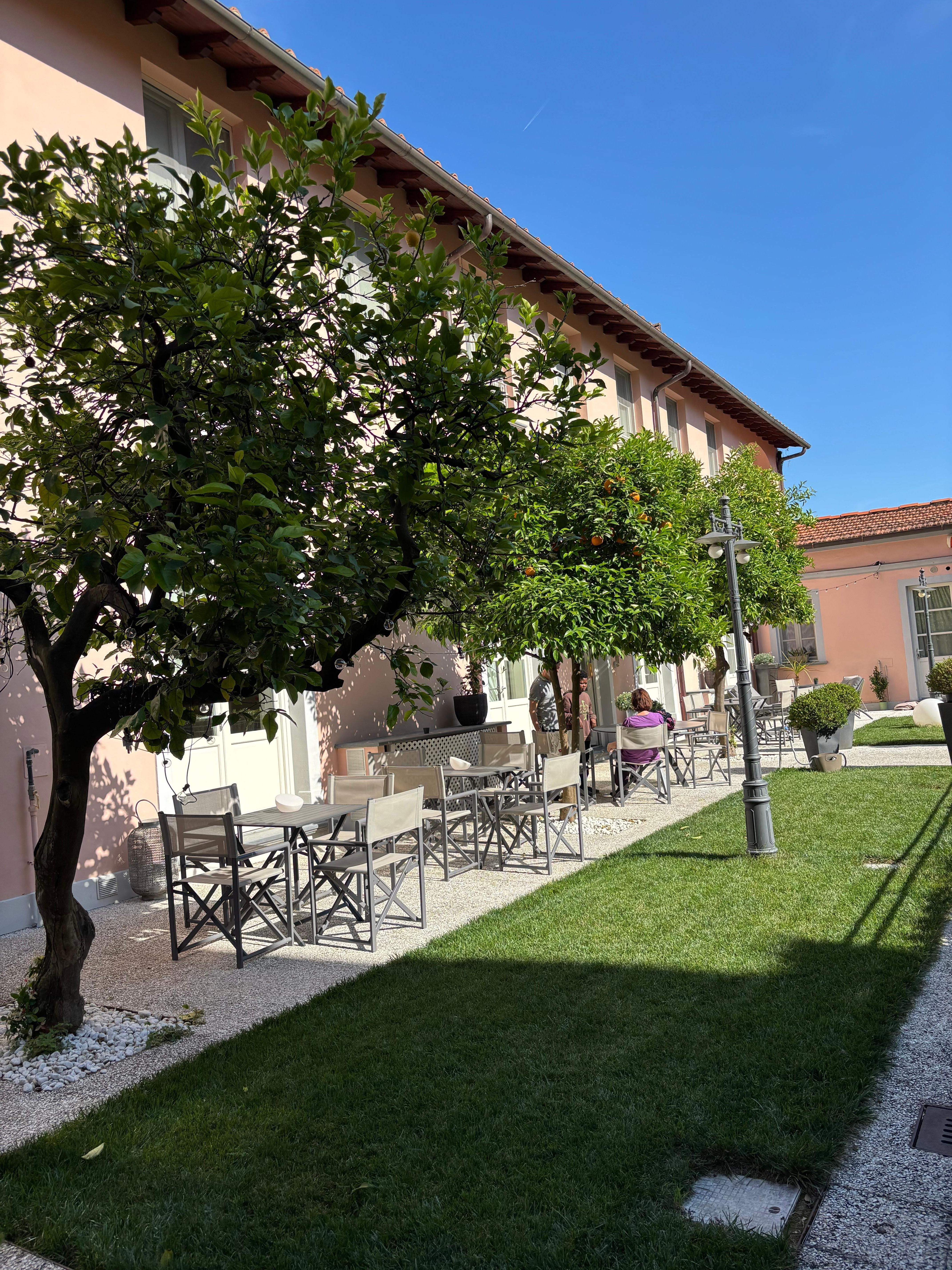 Camilla courtyard
