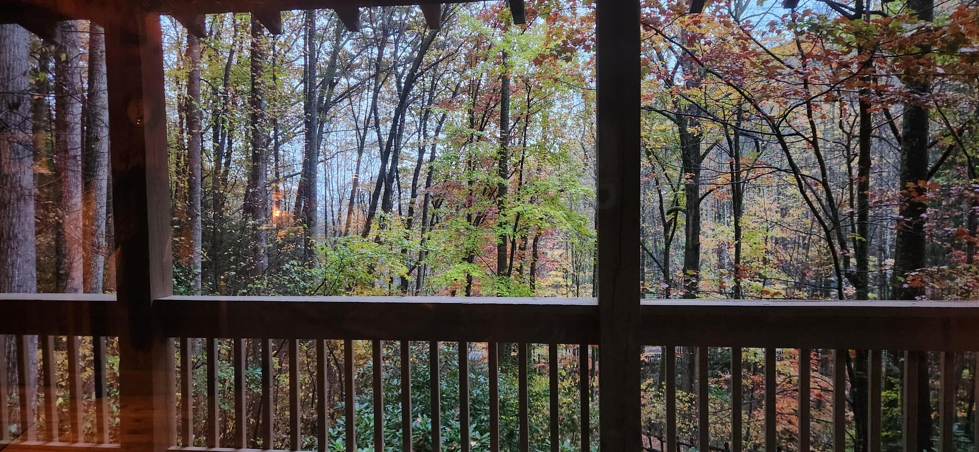 View from front door.