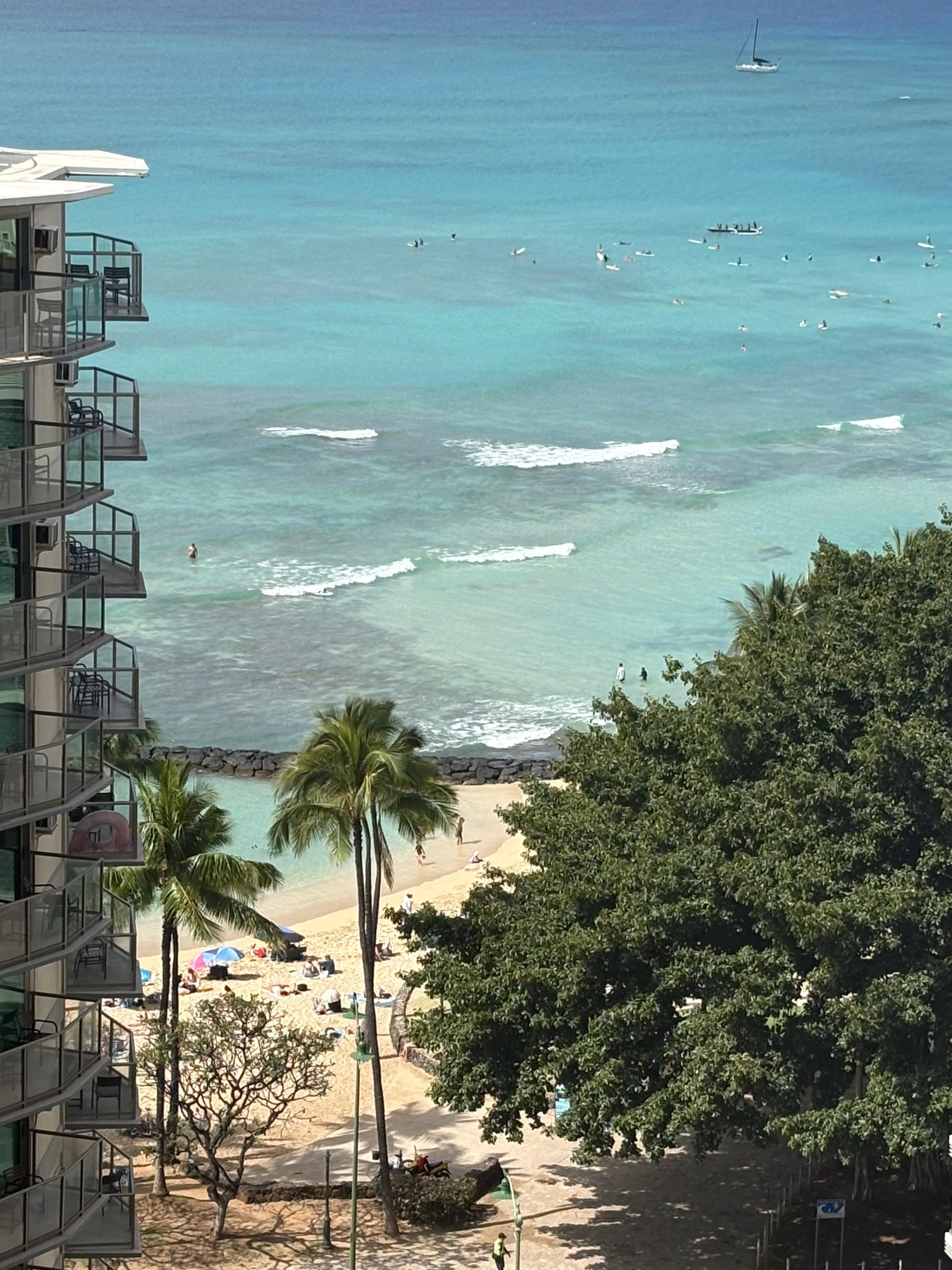 View from 16th floor corner room you have 2 buildings in front of you