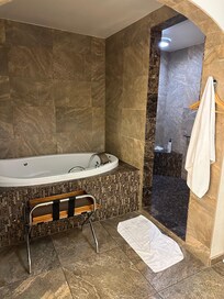 Very nice bathroom in the suite