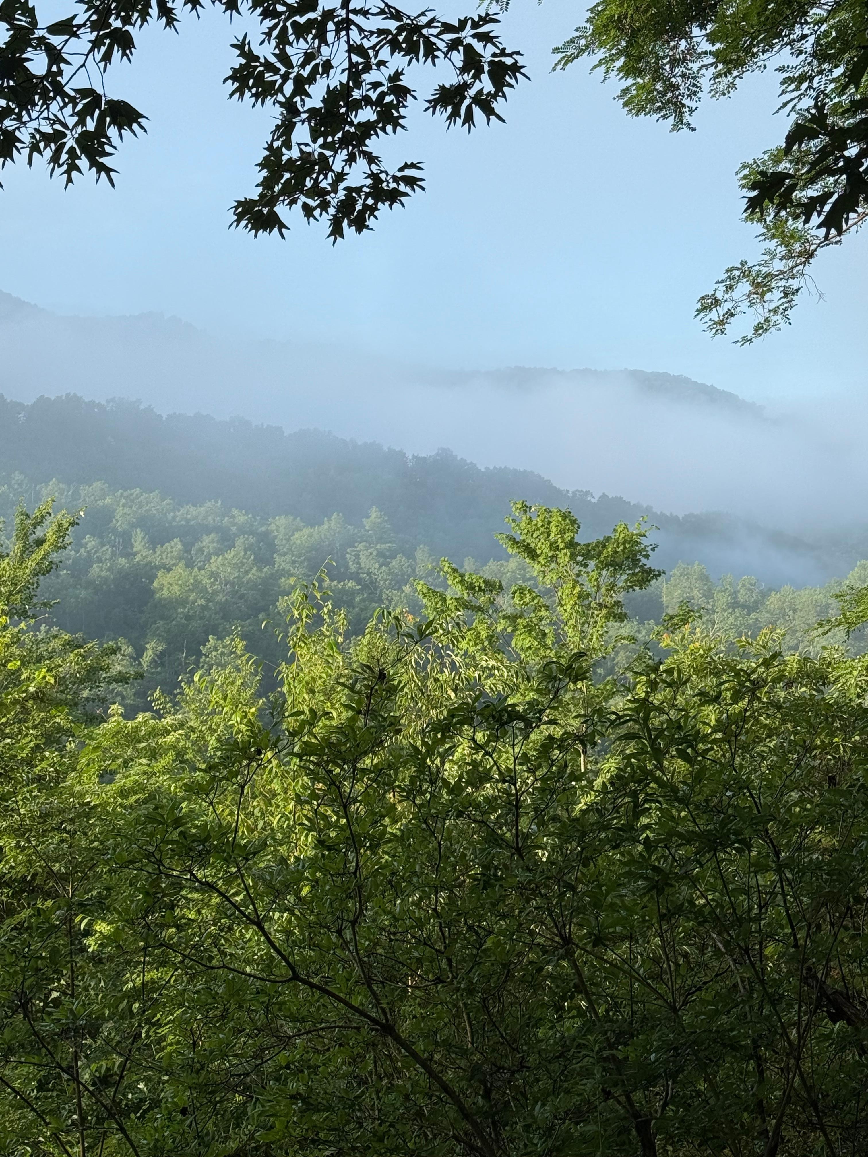 View from the back porch. 