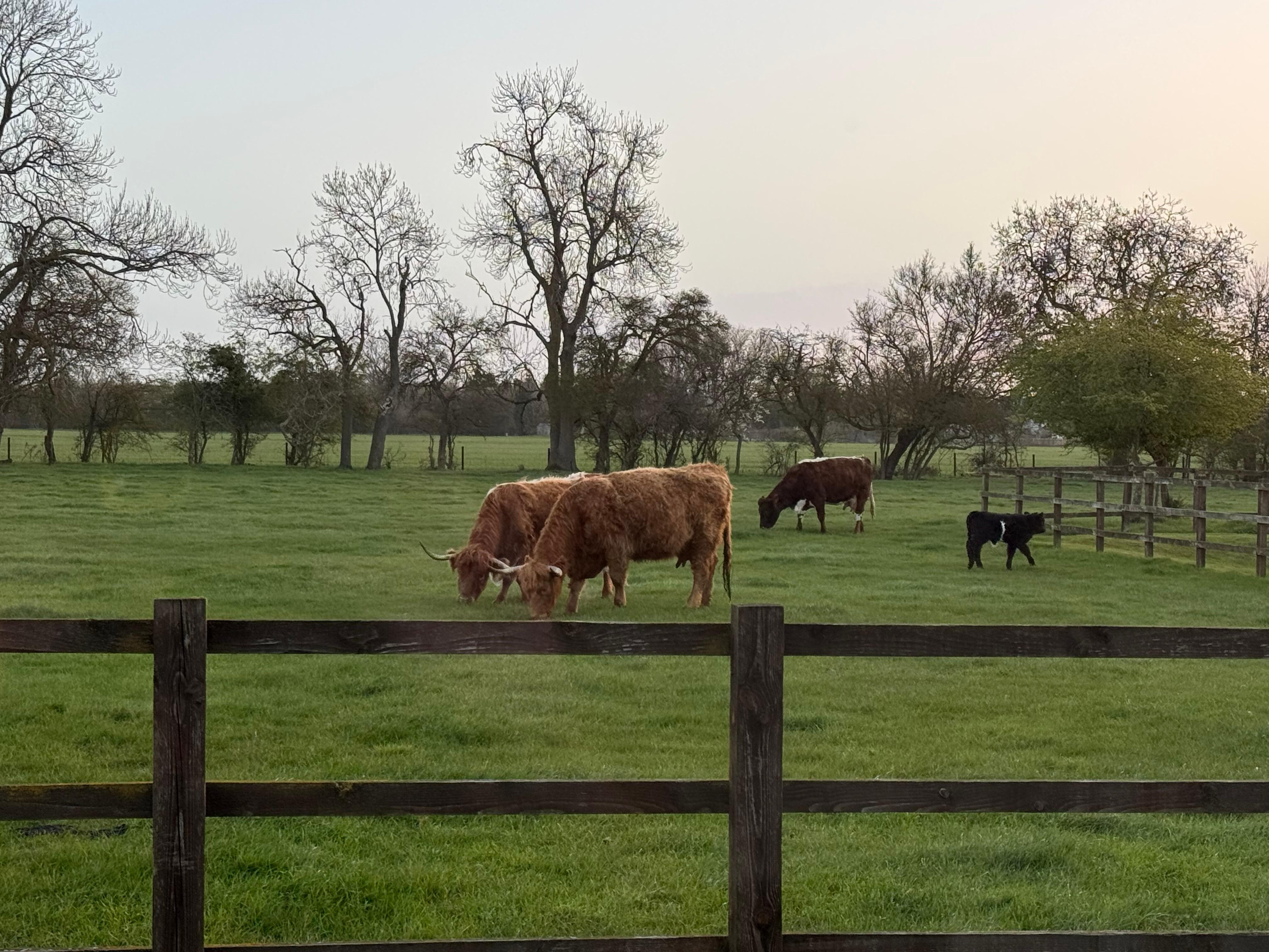 So quiet and peaceful!