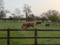 So quiet and peaceful!