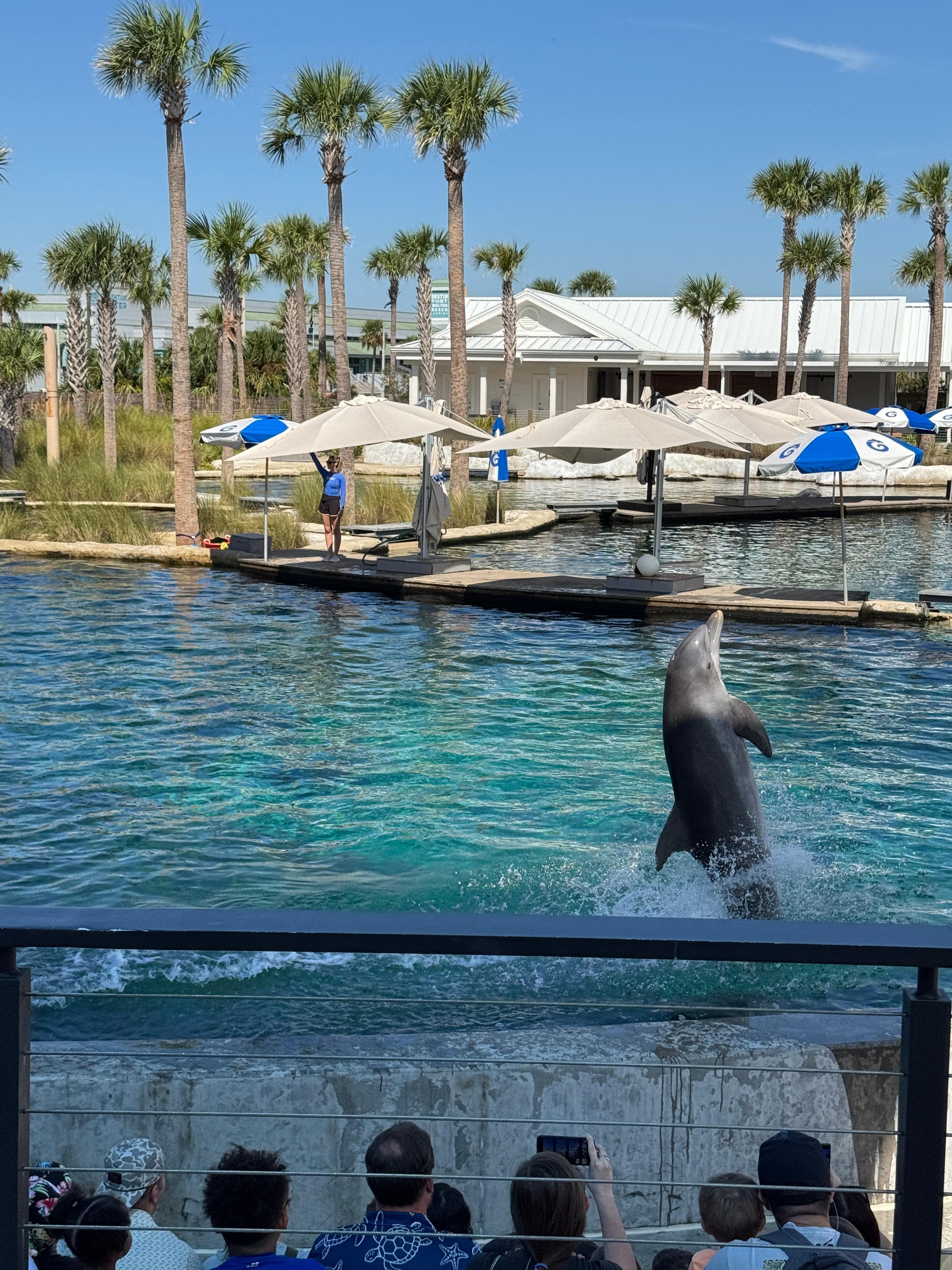 Gulfarium zoo was good.