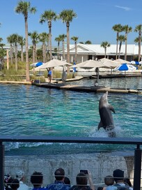 Gulfarium zoo was good.