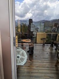 Picture from back porch where it shows the fridge doors are wide open with no electricity