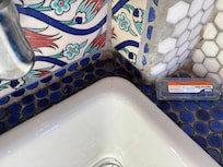 Mold in kitchen and ant traps in many spots