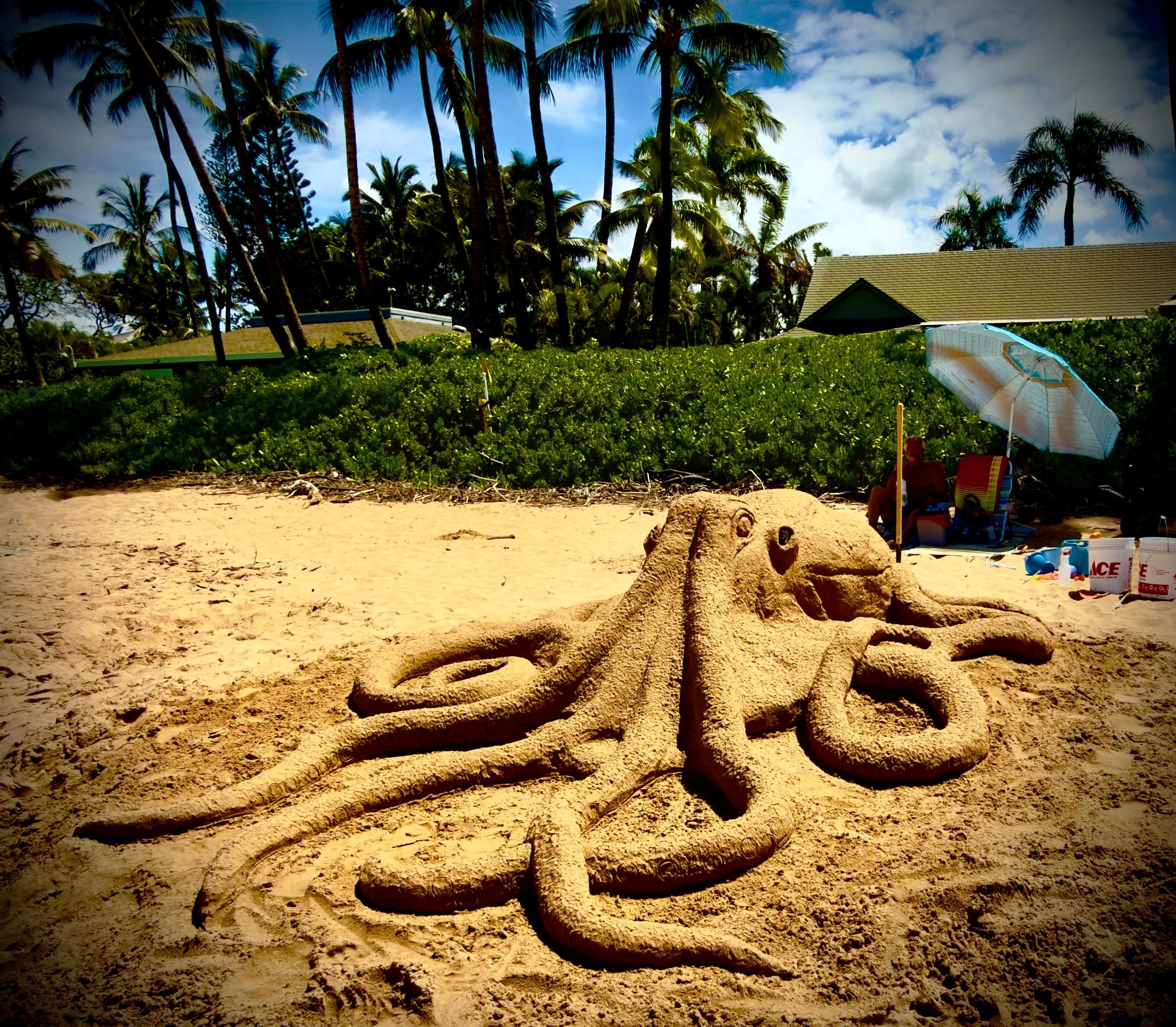 We left our 5-gallon  buckets and shovels and hope they are still at the unit so we can make more of our sand sculptures. Our octopus lasted two days with some fix-up.